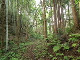 出雲 布広城の写真