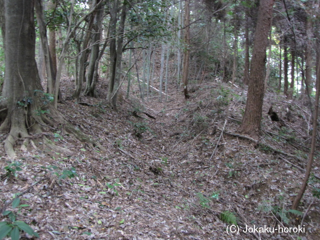 出雲 茶磨山城の写真