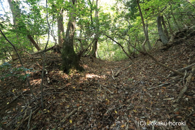 出雲 尾崎山城の写真