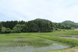 出雲 赤穴瀬戸山城の写真