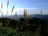 出雲 須我非山城の写真