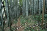 出雲 玉造要害山城の写真