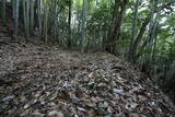 出雲 玉造要害山城の写真