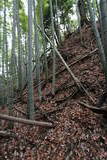 出雲 玉造要害山城の写真