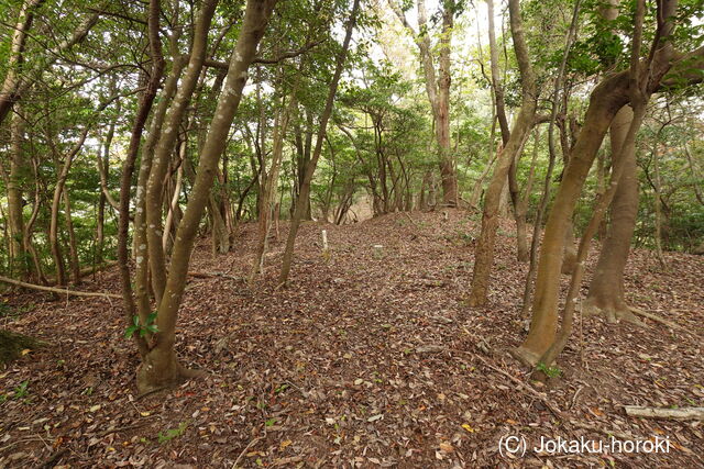 出雲 牛切山城の写真