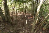 出雲 牛切山城の写真