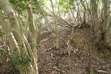 出雲 牛切山城の写真