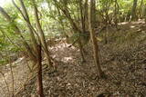 出雲 牛切山城の写真