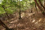 出雲 牛切山城の写真