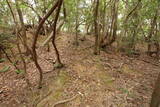 出雲 牛切山城の写真
