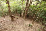 出雲 牛切山城の写真