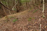 出雲 牛切山城の写真