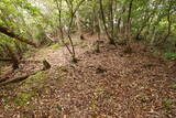 出雲 牛切山城の写真