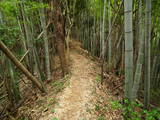 出雲 和久羅山城の写真