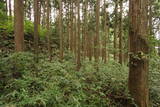 加賀 荒山城(金沢市)の写真