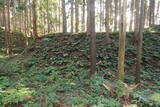 加賀 舟岡城の写真