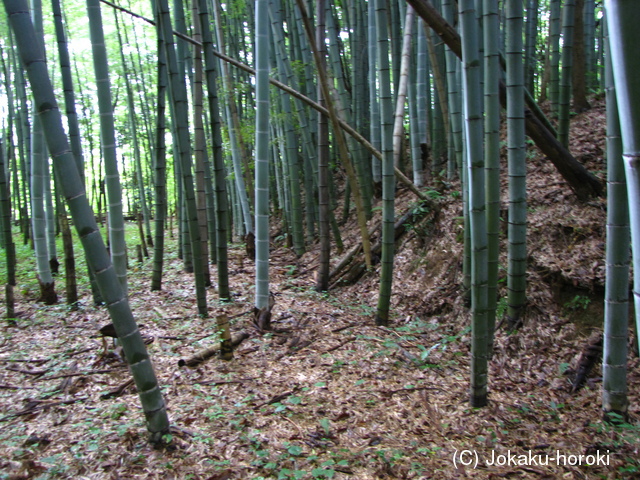 加賀 上山田城の写真