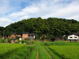 加賀 上山田城の写真