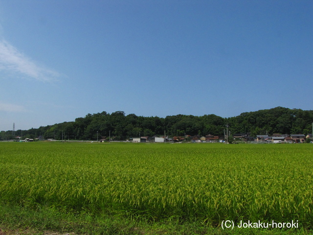 加賀 片山津ミサラシ城の写真