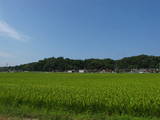 加賀 片山津ミサラシ城の写真