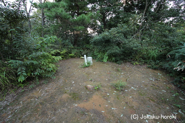 加賀 鞍ヶ嶽城の写真