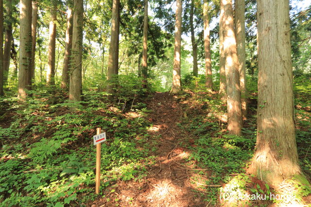 加賀 瀬戸丸山城の写真