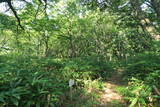 加賀 瀬戸丸山城の写真