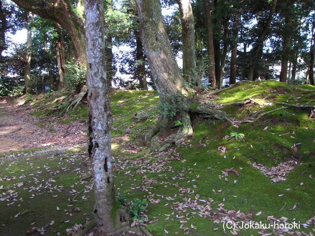 加賀 津波倉神社の写真