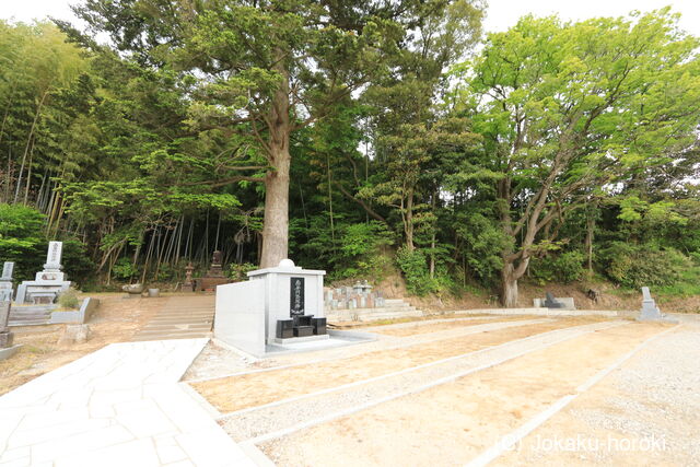 加賀 若松本泉寺の写真