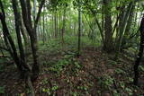 加賀 山川三河守砦の写真