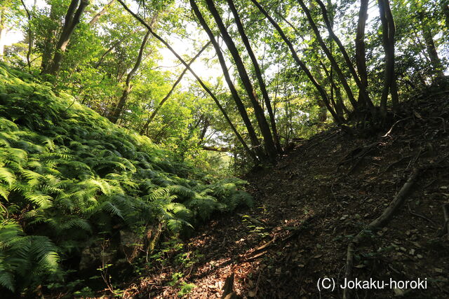 加賀 山中城の写真