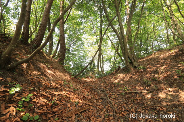 加賀 山中黒谷城の写真