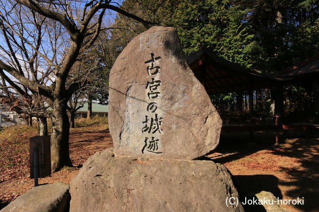 甲斐 古宮城の写真