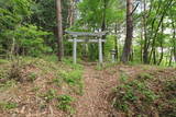 甲斐 蜂城の写真