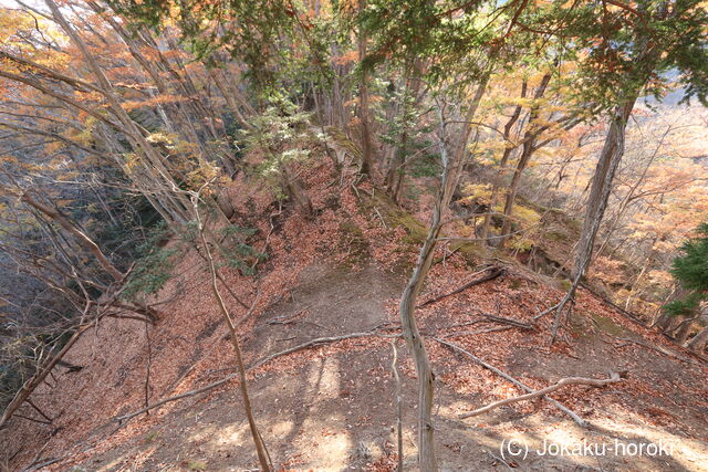 甲斐 白山城北砦(北烽火台)の写真