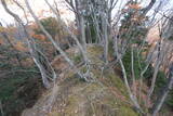 甲斐 白山城北砦(北烽火台)の写真