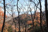 甲斐 白山城北砦(北烽火台)の写真