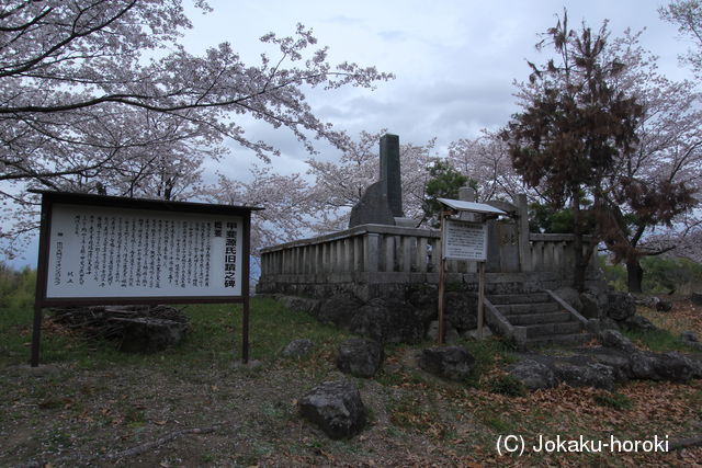 甲斐 義清館(市川三郷町)の写真