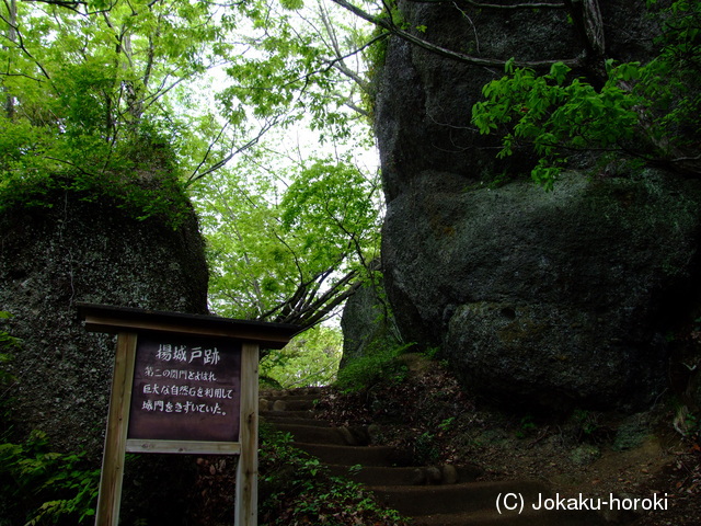 甲斐 岩殿城の写真