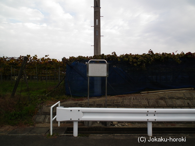 甲斐 岩崎館の写真