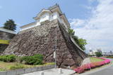 甲斐 甲府城の写真
