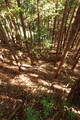 甲斐 小菅砦の写真