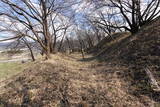 甲斐 小山城の写真