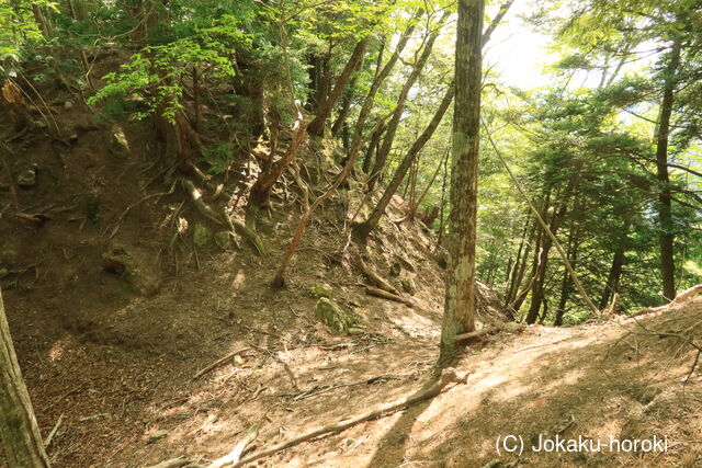 甲斐 御岳の城山の写真