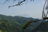 甲斐 御岳の城山の写真