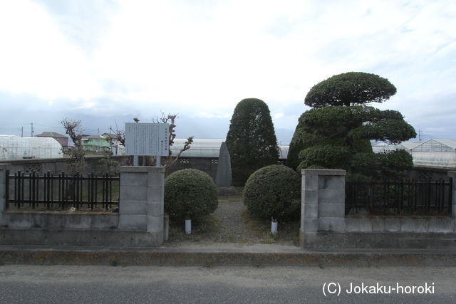 甲斐 奈胡氏館の写真