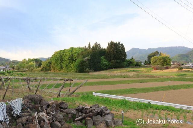 甲斐 中尾根屋敷の写真