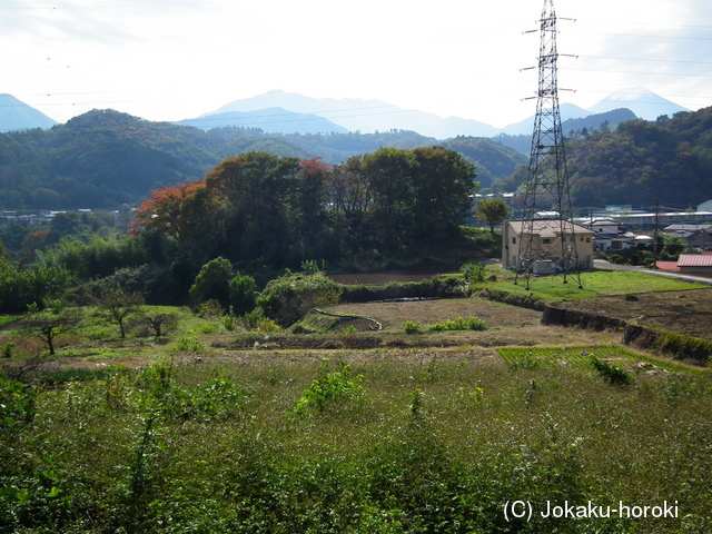 甲斐 中津森館の写真