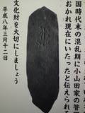 甲斐 中津森館の写真