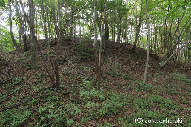 甲斐 中山砦の写真